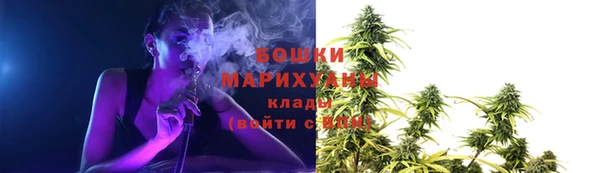дурь Козельск