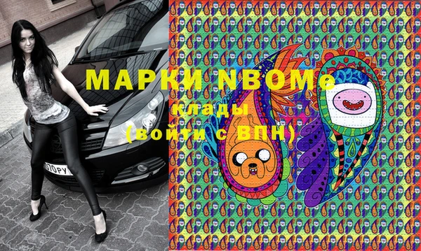 шишки Костерёво