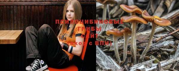 гидропоника Коряжма