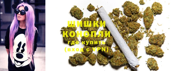 гидропоника Коряжма