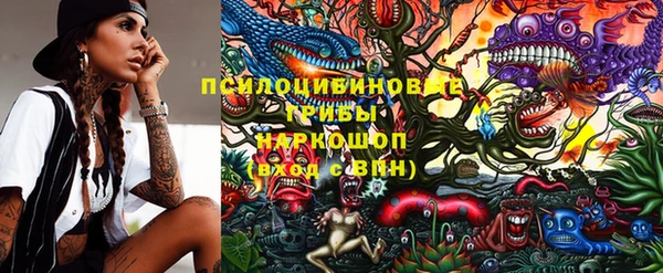 шишки Костерёво